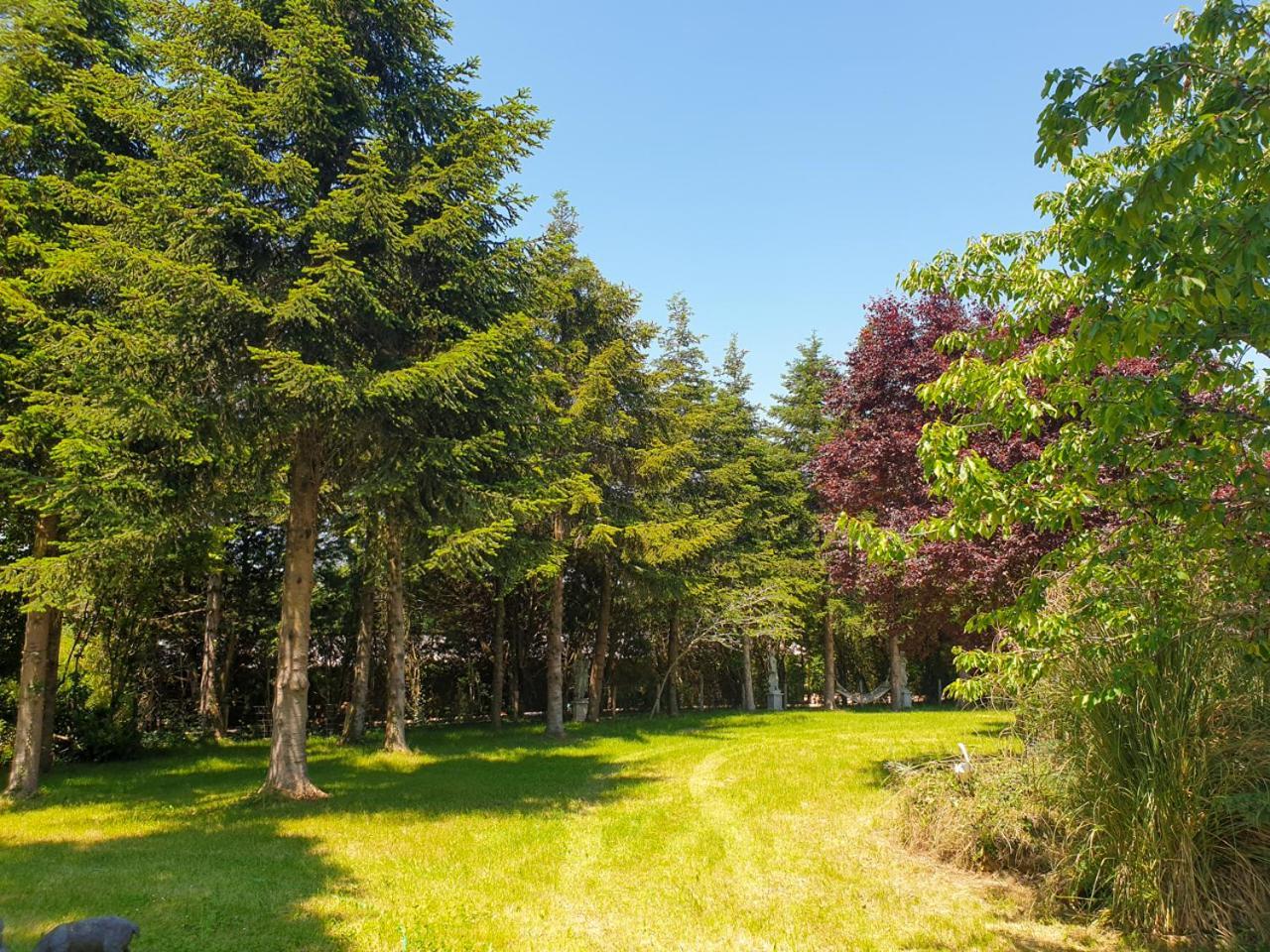 Les Grozilles Bed and Breakfast Feuillade Exterior foto